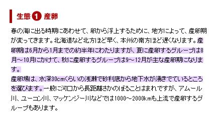 鮭の産卵期は8月～12月と言われている
