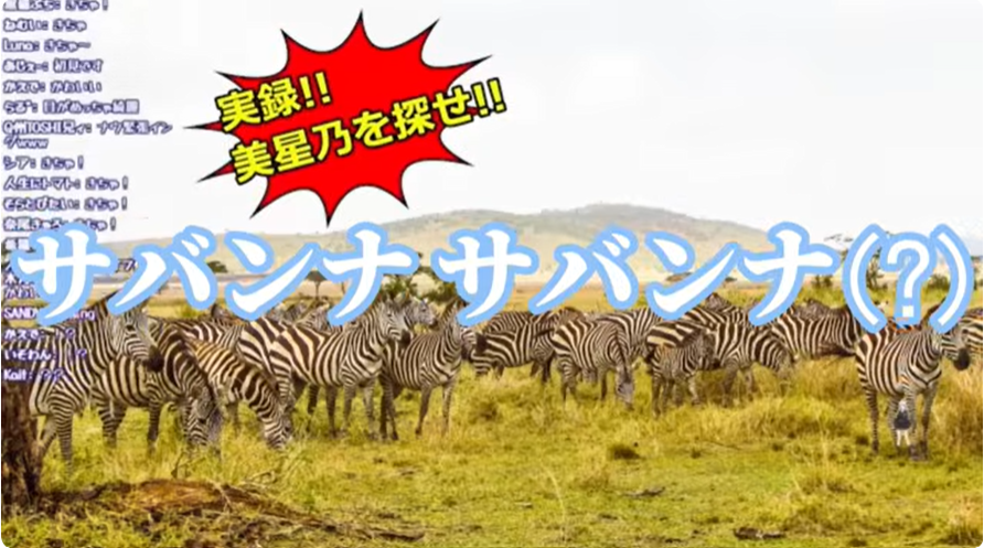 青桐美星乃の伝説の配信「サバンナサバンナ」