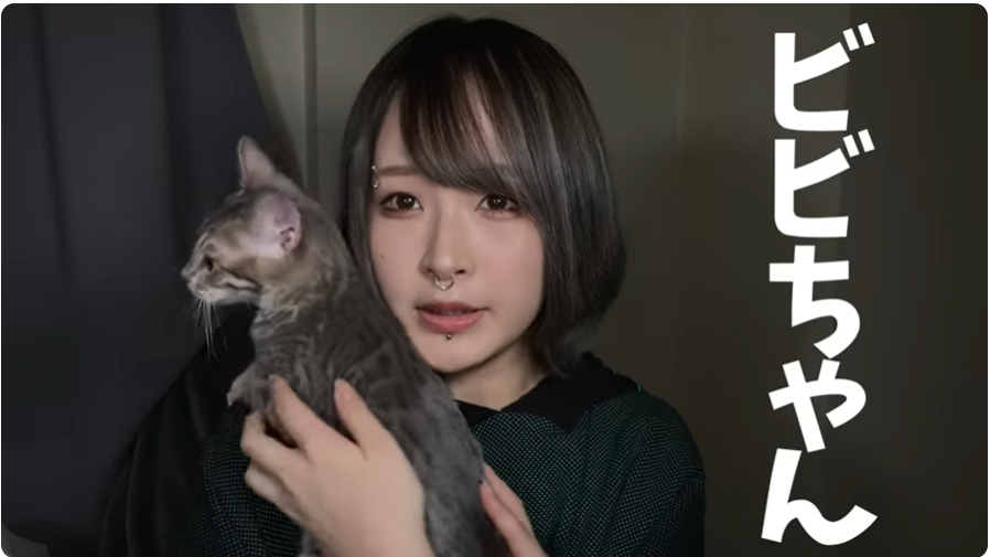 あやぽちゃは動画で飼い猫のビビちゃんを紹介している。