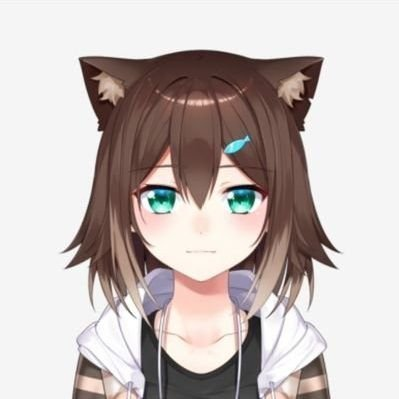 文野環のXプロフィール画面